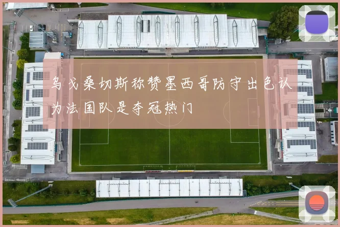 乌戈桑切斯称赞墨西哥防守出色认为法国队是夺冠热门