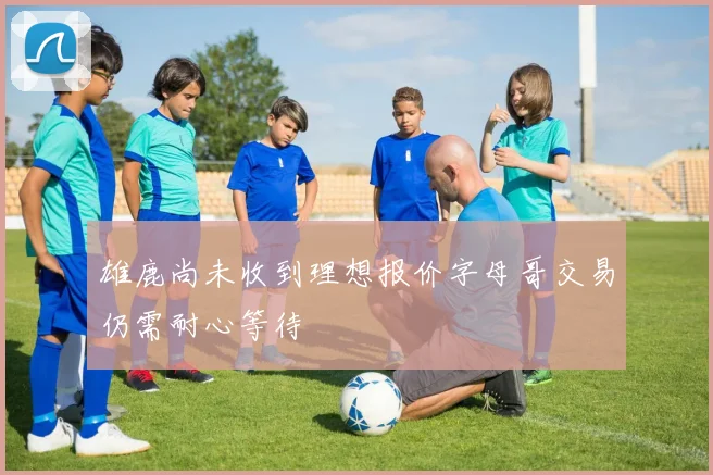 雄鹿尚未收到理想报价字母哥交易仍需耐心等待