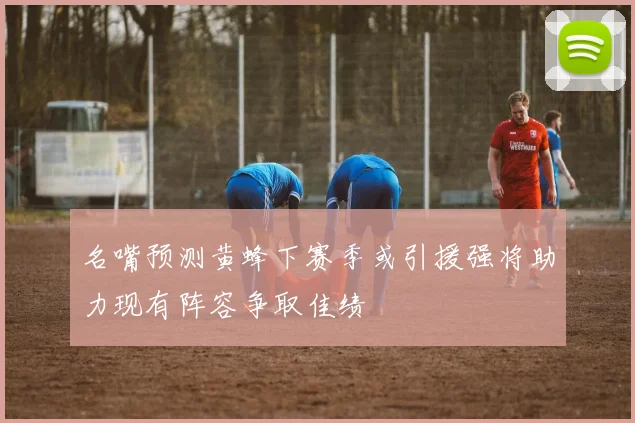 名嘴预测黄蜂下赛季或引援强将助力现有阵容争取佳绩