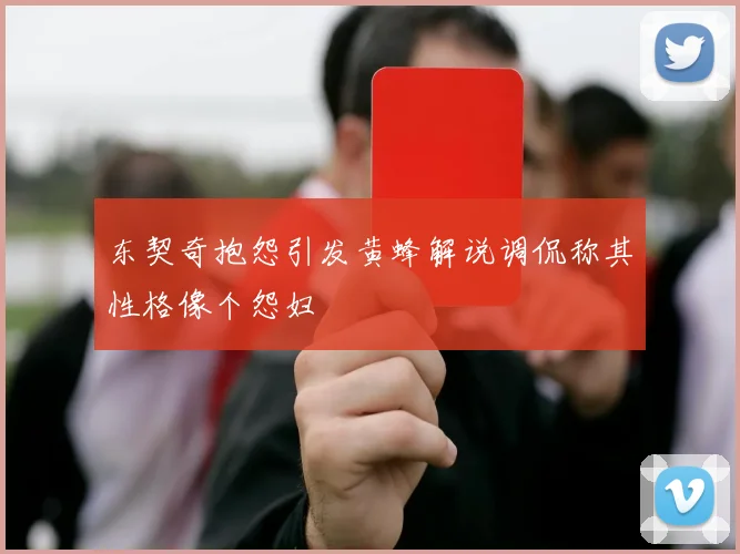 东契奇抱怨引发黄蜂解说调侃称其性格像个怨妇